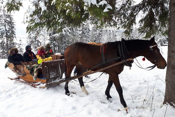 Zakopane and Horse Sleigh Ride in the countryside, private tour from Krakow