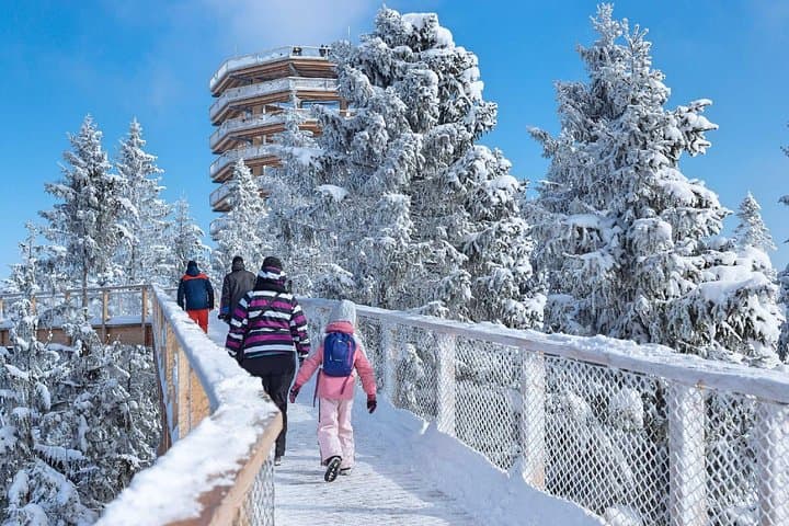 Treetop Walk in Slovakia and Thermal Baths from Krakow