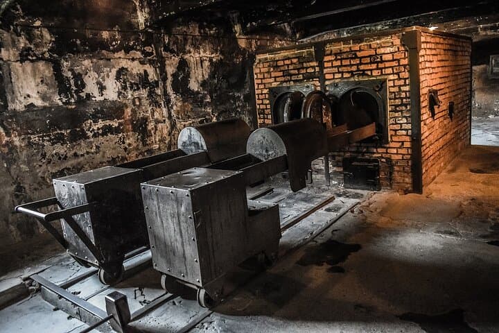 Auschwitz-Birkenau Private Tour from Krakow