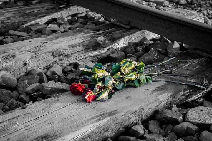 Auschwitz Birkenau and Salt Mine Full Day Guided Tour from Krakow hotel pick up