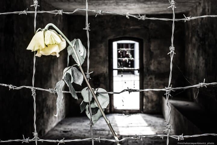 1-Day Private Tour Stutthof Concentration Camp and Malbork Castle