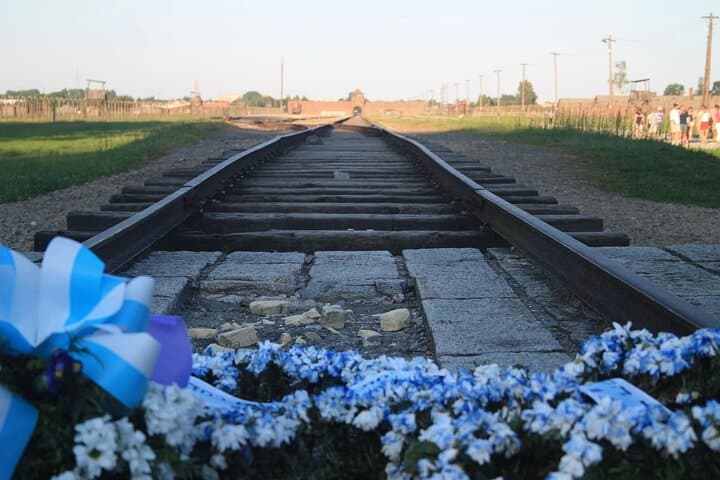 Auschwitz-Birkenau Memorial and Wieliczka Salt Mine Day Tour