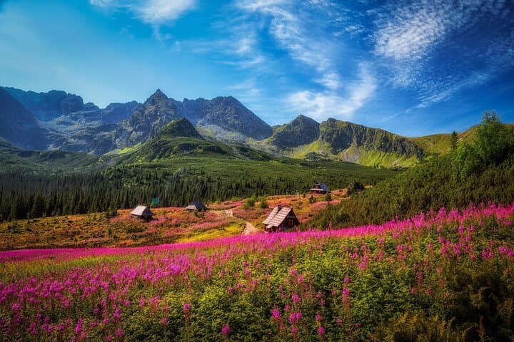 Full-Day Private Guided Zakopane & Tatra Mountains Tour from Krakow