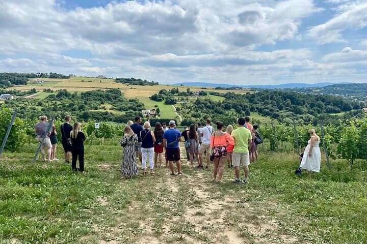 Wieliczka Vineyard: Wine tasting with local snacks