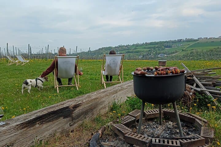 Wieliczka Vineyard: Wine tasting with local snacks