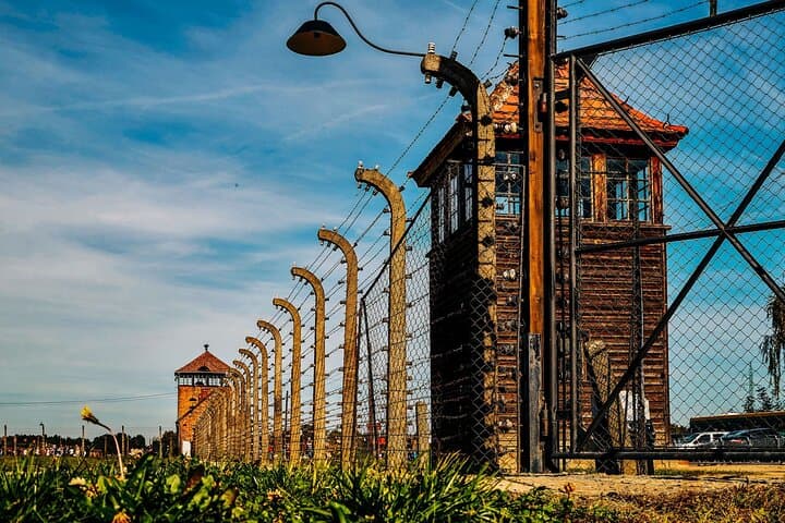 Birkenau fences