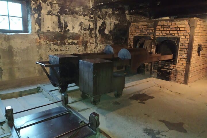 Auschwitz Museum and Salt Mine Tour with Private Transport