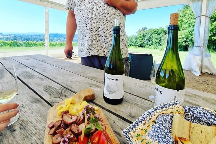 Private Wine Tasting at Vineyard From Krakow