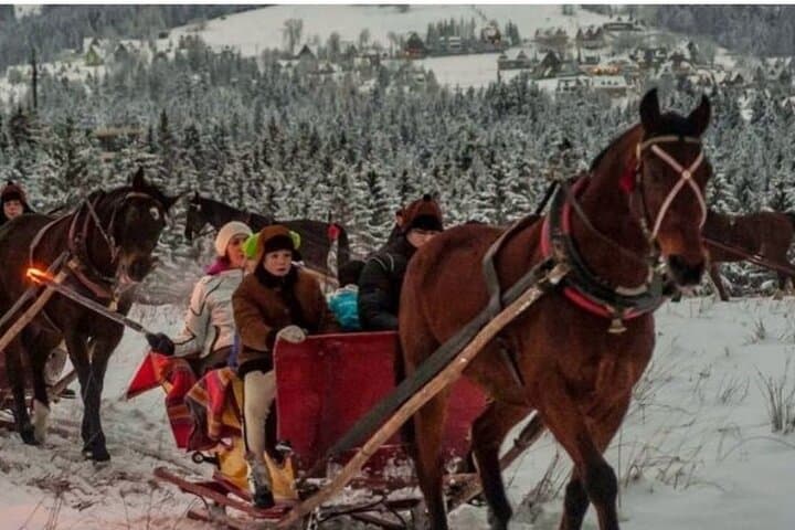 Zakopane Sleigh Ride in Tatra Mountains