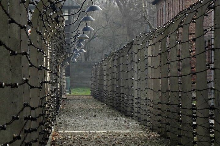 Auschwitz Birkenau Transfer and Guide with Salt Mine Combo Option