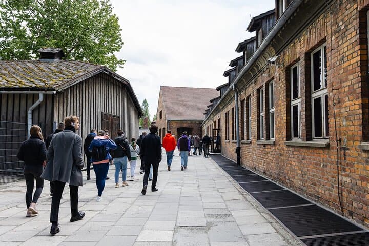 Auschwitz Birkenau and Wieliczka Salt Mine Day Tour from Krakow