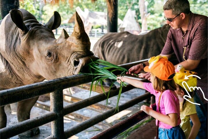 Krakow: Zoo with Hotel Transfer
