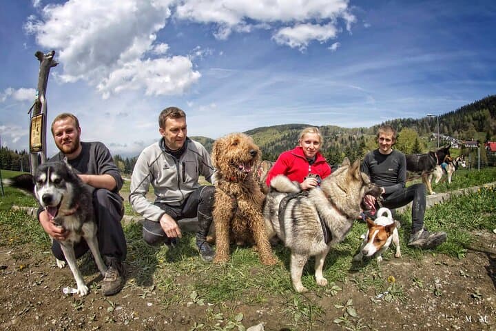 Thrilling Dog Sled Rig Rides in Beskid Wyspowy