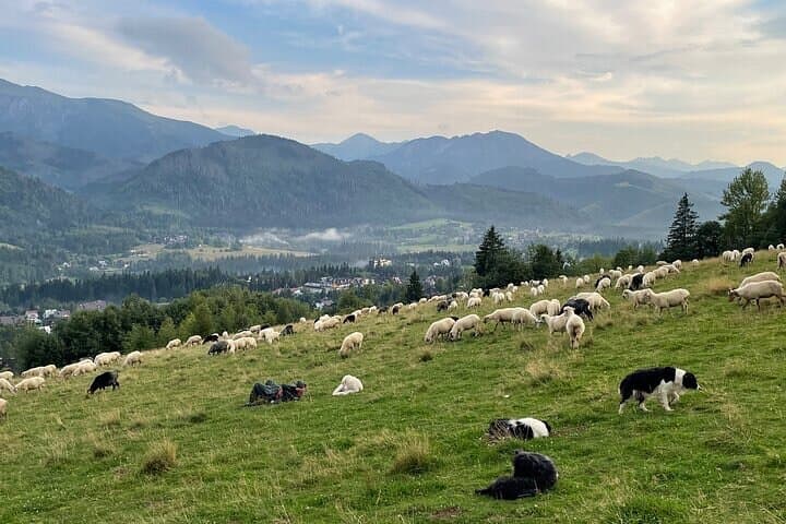Zakopane full day tour with cable car & thermal baths from Krakow