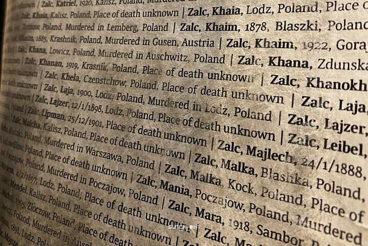 from Kraków: Auschwitz excursion with guaranteed Dutch guide