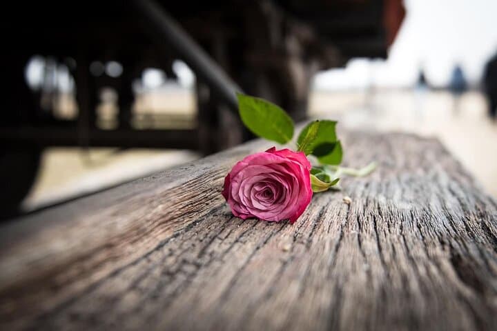 Auschwitz & Birkenau Small-Group Guided Tour with Hotel Pick-Up