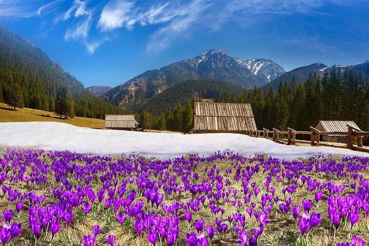 E Bike Zakopane Adventure with Thermal Baths from Krakow