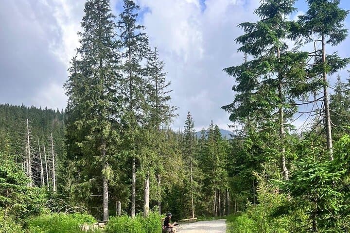 Zakopane Electric Mountain Bike and Thermal Baths Tour