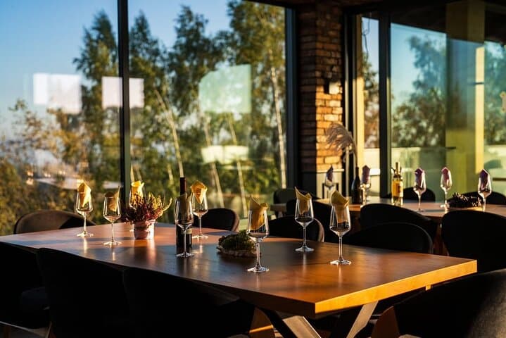 Krakow Vineyard Tour with Wine Tasting and Dinner