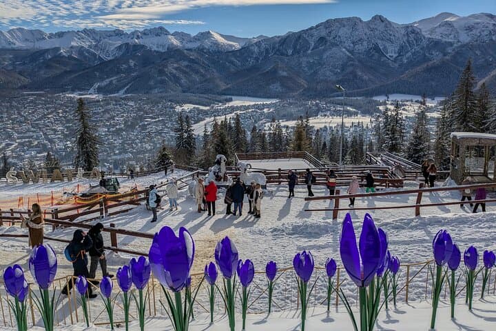 Admire the panorama of the Tatra Mountains & Zakopane