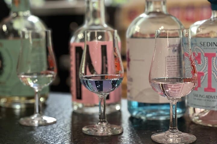 Discover Polish Gin. Gin Tasting Tour