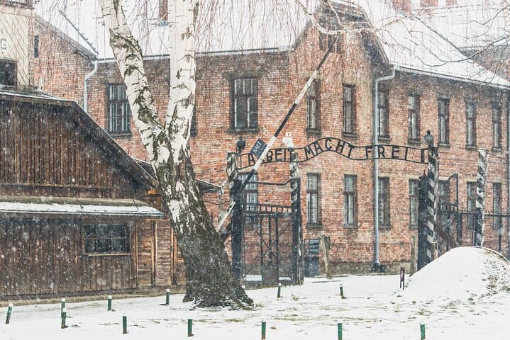 Auschwitz-Birkenau Memorial and Museum Guided Tour from Krakow