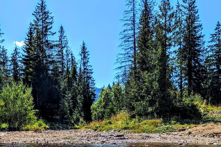Zakopane in a Day: Gubalowka, Local Cheese, Thermal Spring