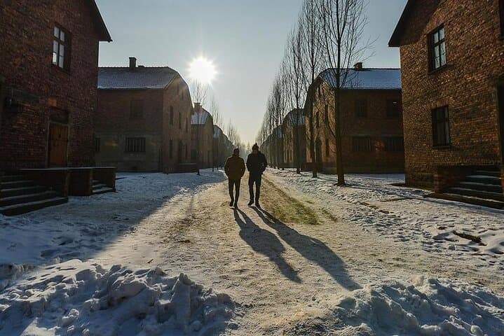 Auschwitz Birkenau and Salt Mine from Krakow