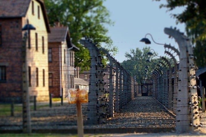 Auschwitz Birkenau and Wawel Cathedral Guided Tour from Krakow