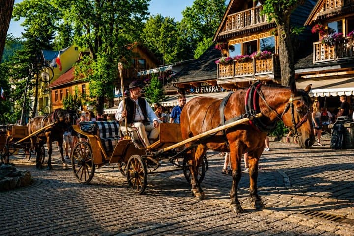Best of Zakopane from Krakow: Cable Car, Osycpek & Thermal Baths