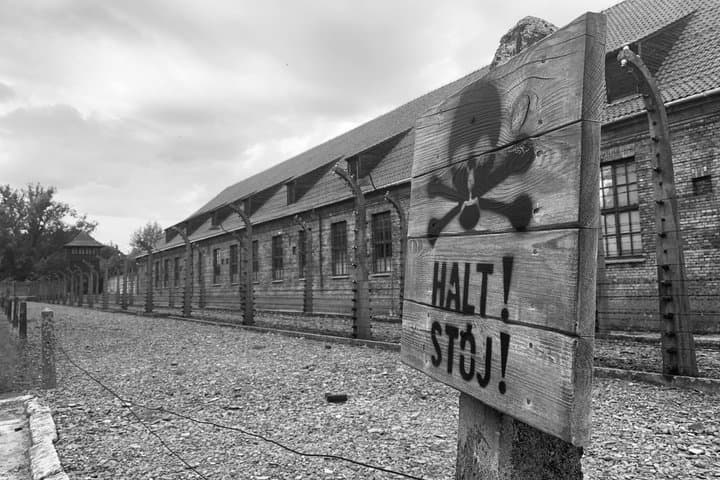 Krakow to Auschwitz Birkenau Guided Tour with Transfer and Ticket