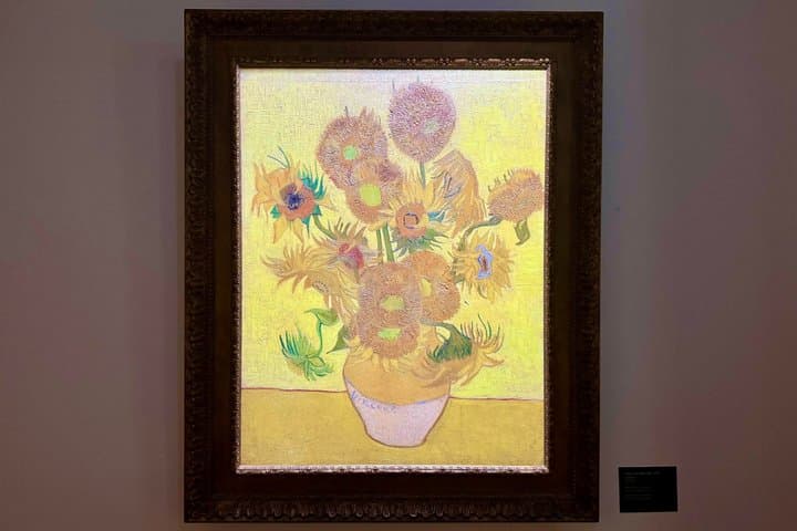 Van Gogh and Vincent Exhibition in Krakow Entry Ticket