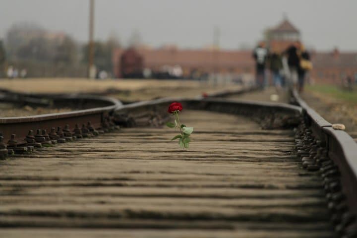 Private Auschwitz-Birkenau Memorial Tour from Krakow